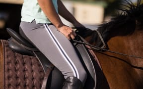Mid section of female jockey sitting on horse during sunny day