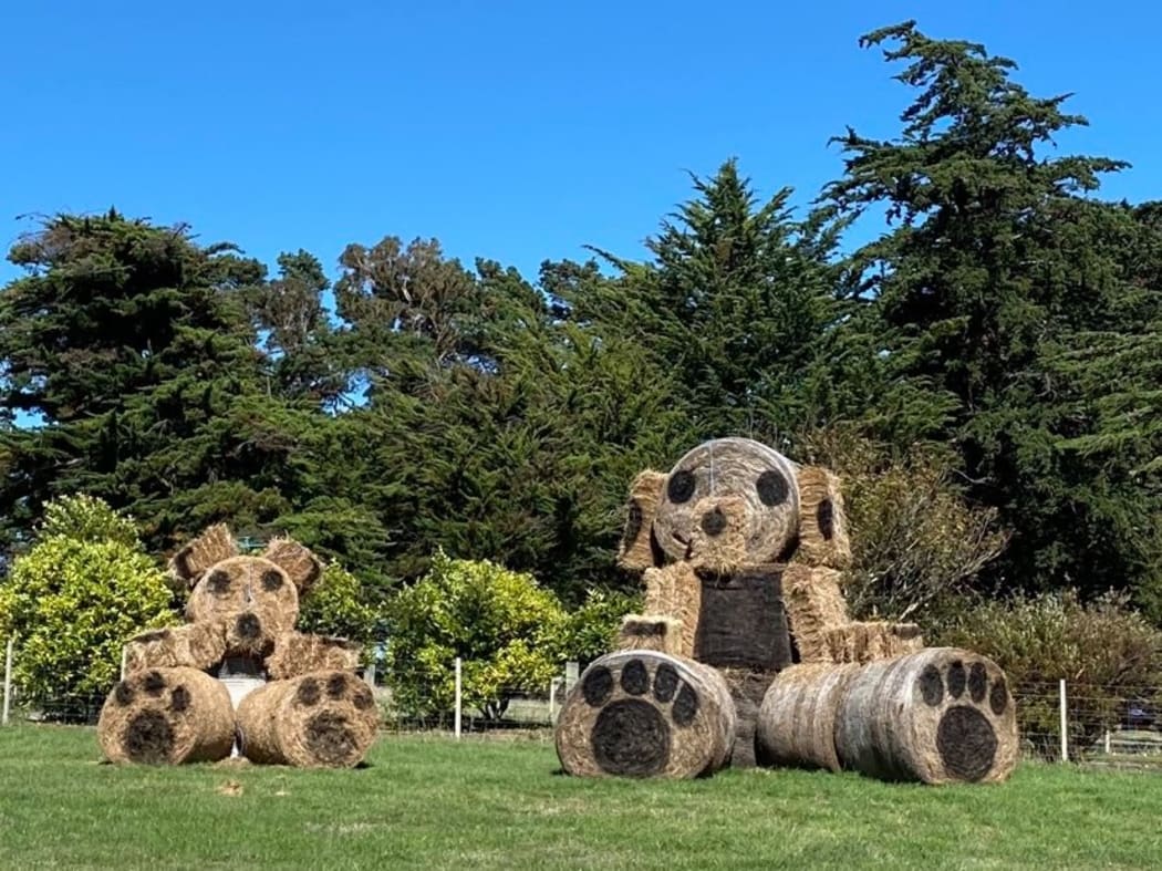 A South Wairarapa farmer's contribution to  the teddy bear hunt during the Covid-19 lockdown