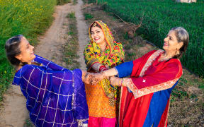 Group of Punjabi women wearing colorful traditional dress dancing together in agriculture field celebrating Baisakhi or vaisakhi festival.