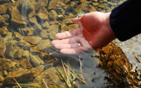 Hand in water (file photo)