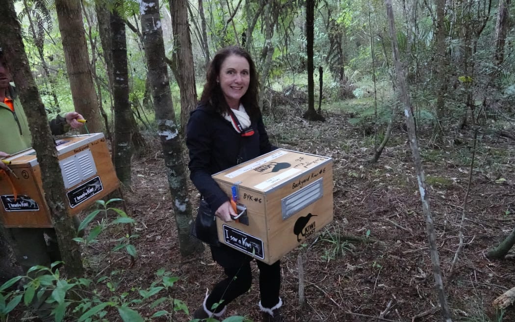 Moturoa Island resident Karen Asquith carries a kiwi named Moturoa into the forest near Paihia.