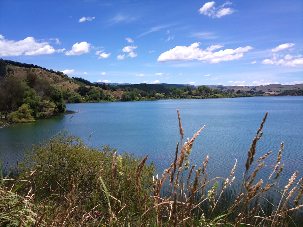 Lake Tutira