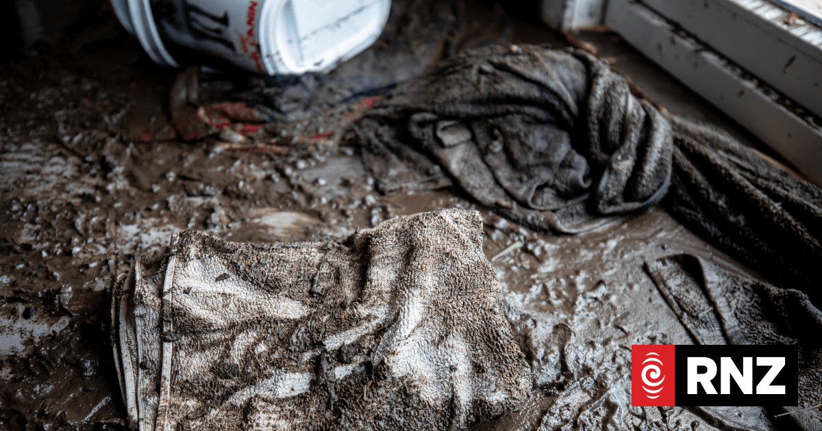 Homes gutted and businesses closed as Wellingtonians count the cost of floods