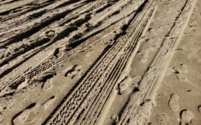Papatowai Beach the day after Ford salesmen raced and did doughnuts on the beach