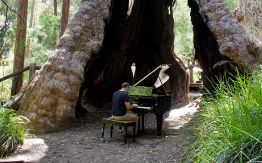 The locations of performances are not advertised beforehand.