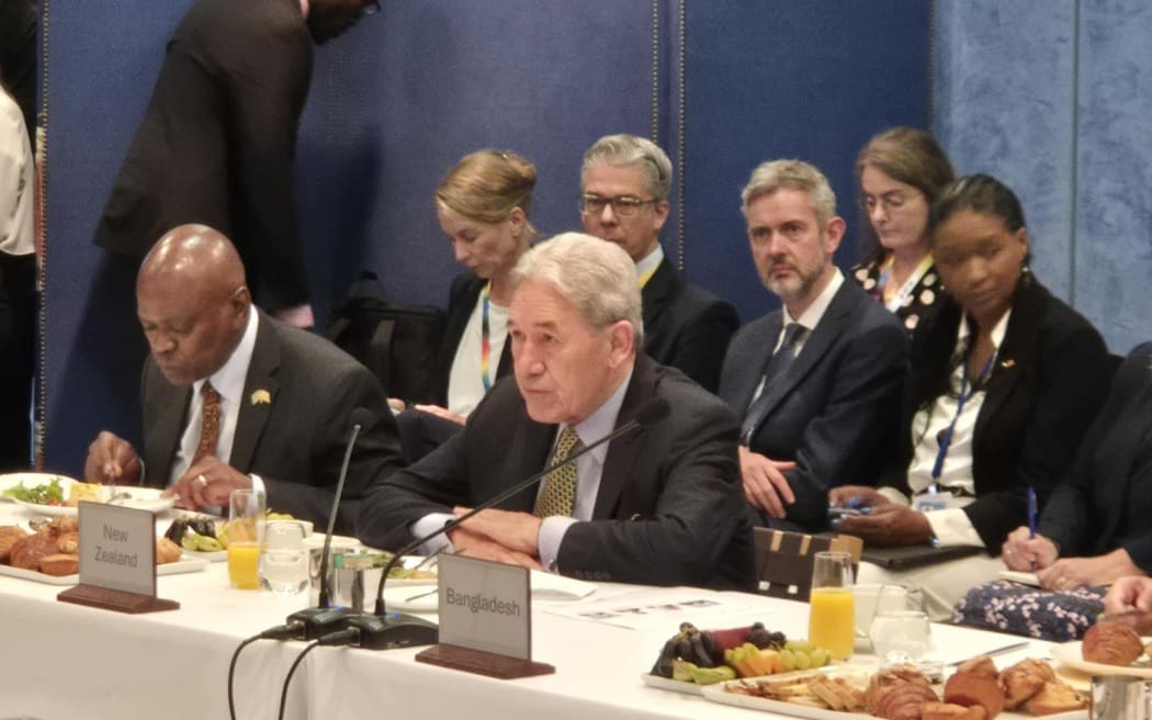 Winston Peters at UN
