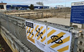 Restrictions in place at Fielding saleyards during Alert Level 2