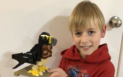 Liam's (Age 11) lego kārearea
