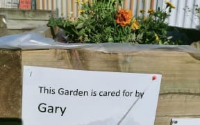 Daldy St Community Garden in Wynyard Quarter