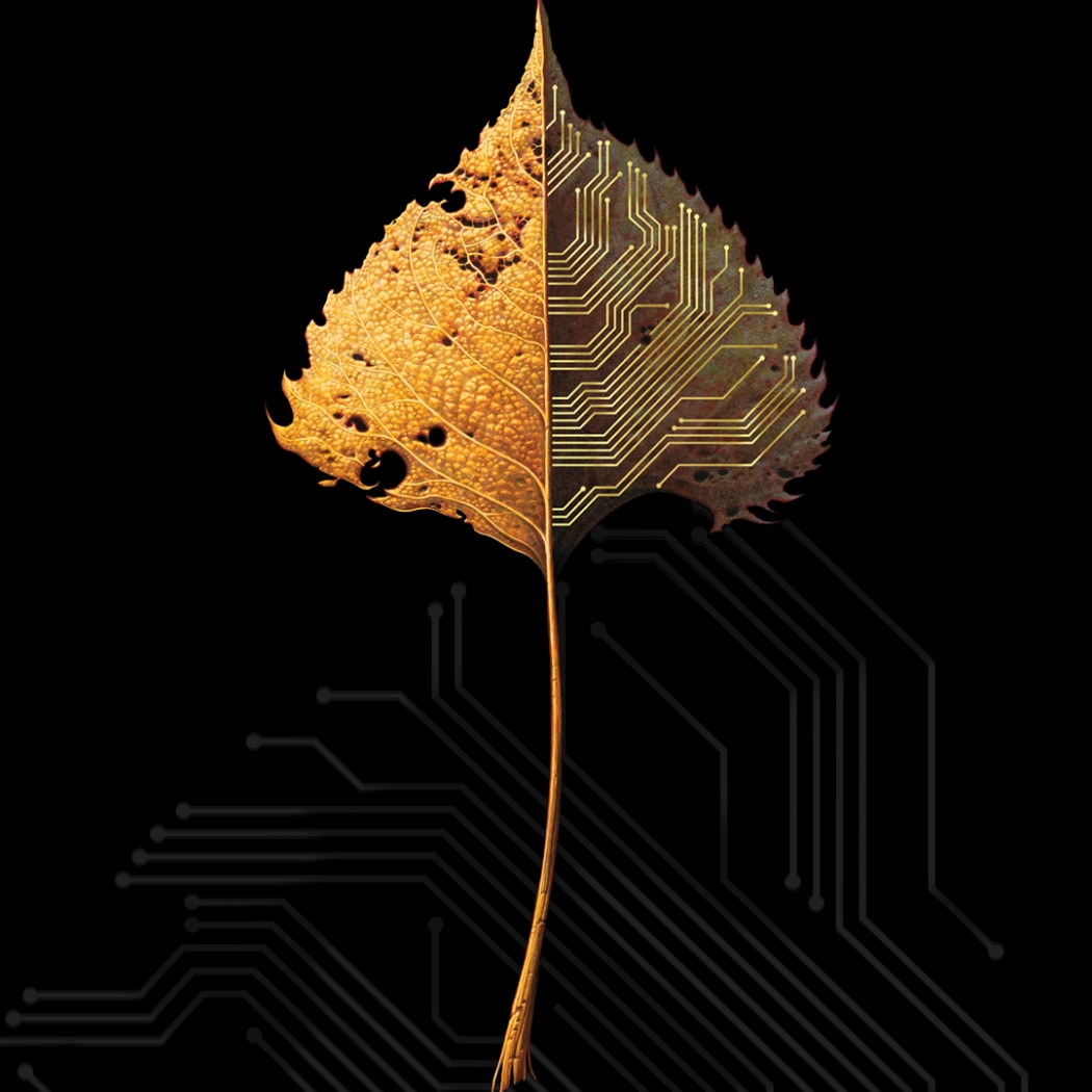 Data Lords Cover Art