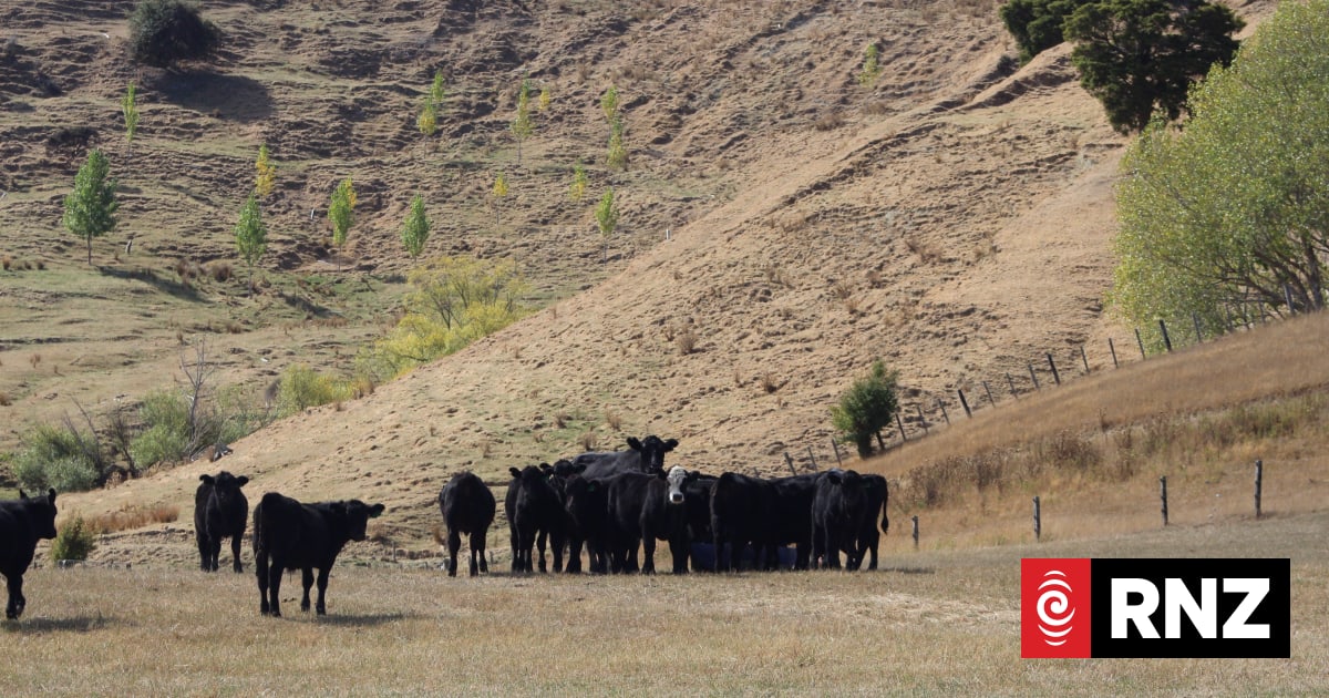 Westpac warns El Niño impact on the primary sector could slow GDP growth