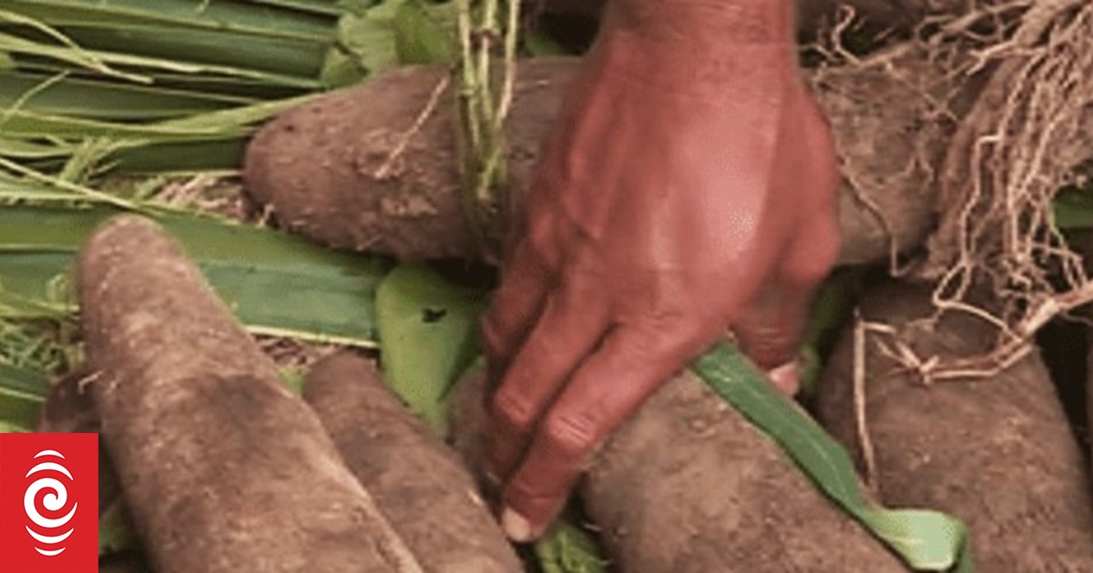 French Pacific news in brief - Vimarsana News