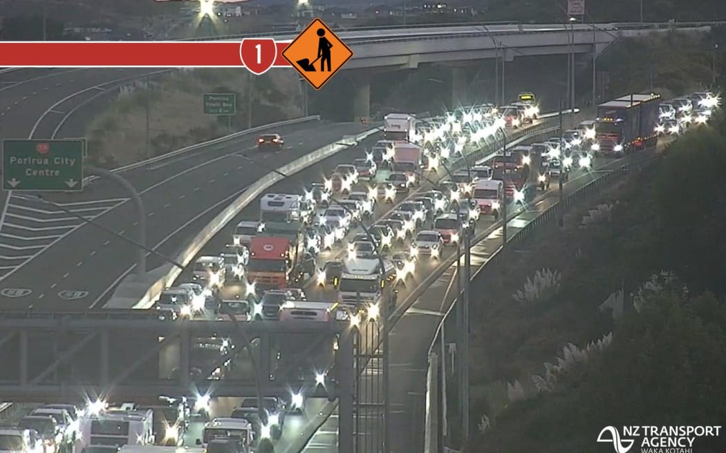 Traffic is backed up on State Highway 1, Wellington.