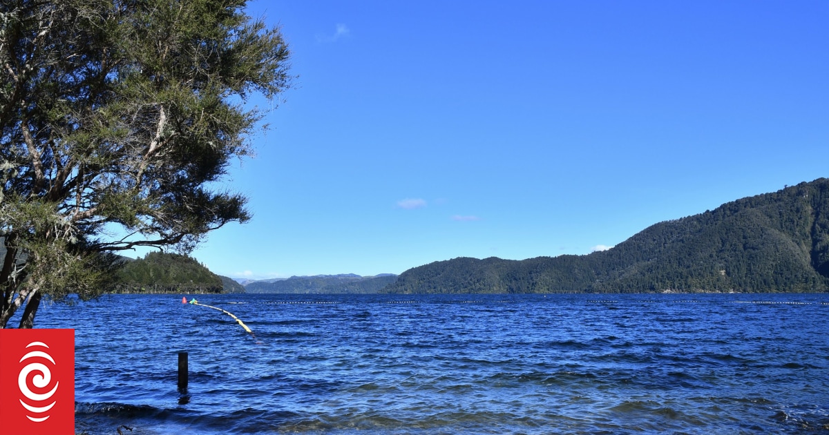 Pest gold clam invasion prevention 'fast-moving', council official says - Vimarsana News