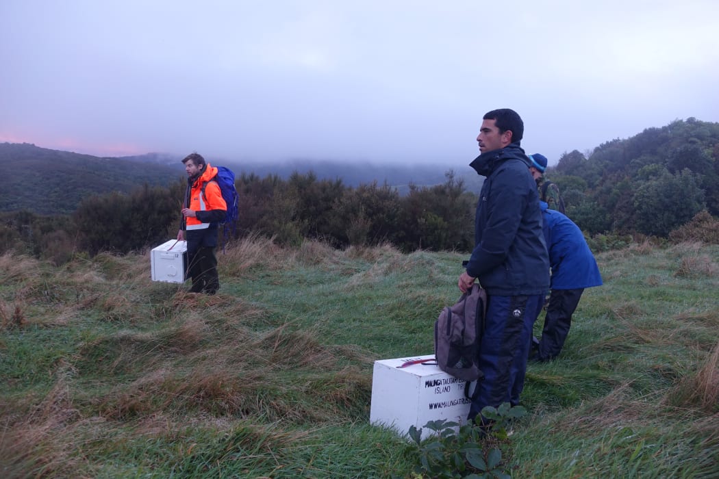 The recovery team prepare to enter the forest.