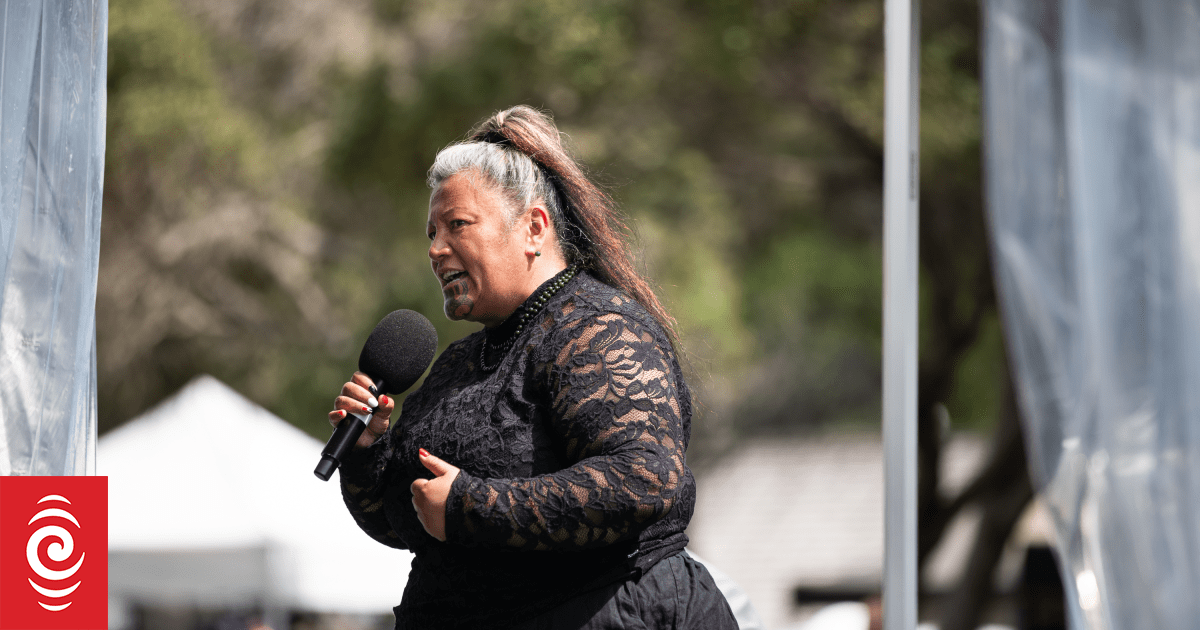 Iwi calling for Te Pāti Māori president John tamihere to step down, ousted MP Mariameno Kapa-Kingi says