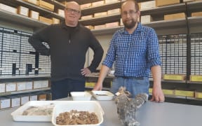 Richard Walter and Nic Rawlence with bone fragments and moa bones in the Advanced Laboratory at the University of Otago.