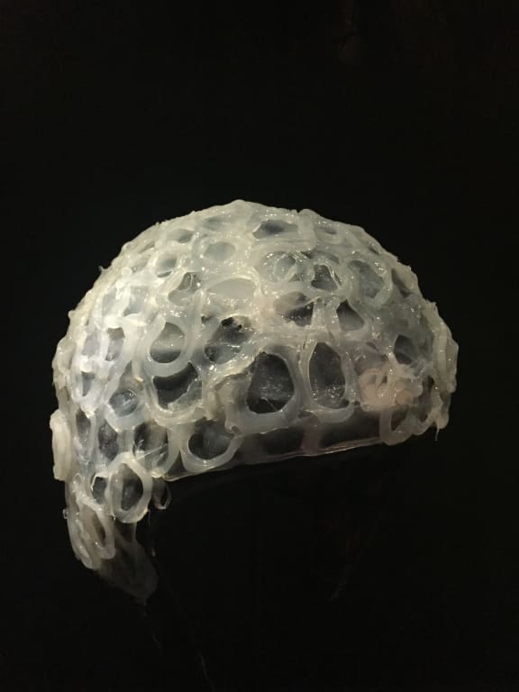A kakapo ejaculation helmet from Te Papa, 2017