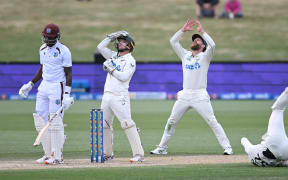 Tom Latham and Kane Williamson react as Will Young drops a chance off West Indies player Justin Greaves during the first test in Christchurch.