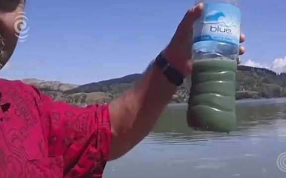 Green water at Lake Tutira, Hawke's Bay