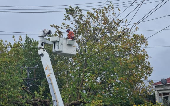 Crews working on damaged power line on St Albans Avenue, Mt Eden in Auckland on 11 April 2024.