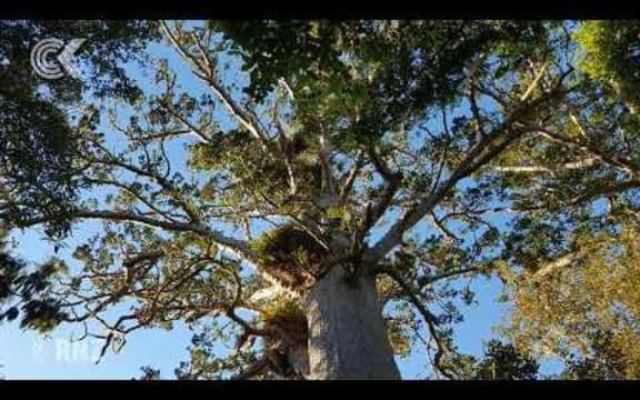 Akld Council votes to close more of the Waitakere Ranges: RNZ Checkpoint