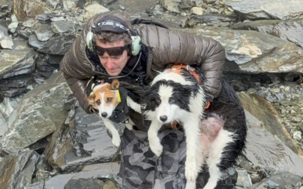 Molly, a border collie, was lost in alpine backcountry near Hokitika for almost two weeks.