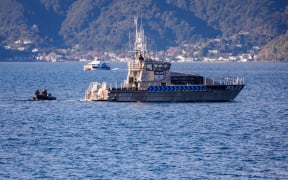 Police continue their search for an unnamed man who went missing from a ferry on the 24th of May