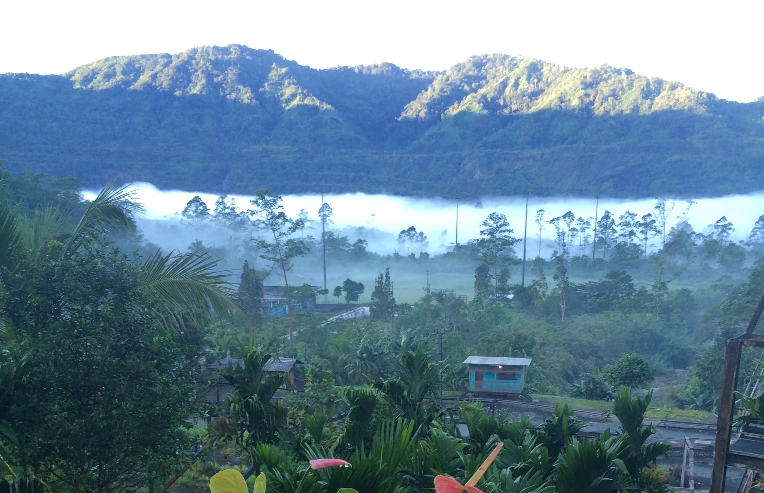 Panguna