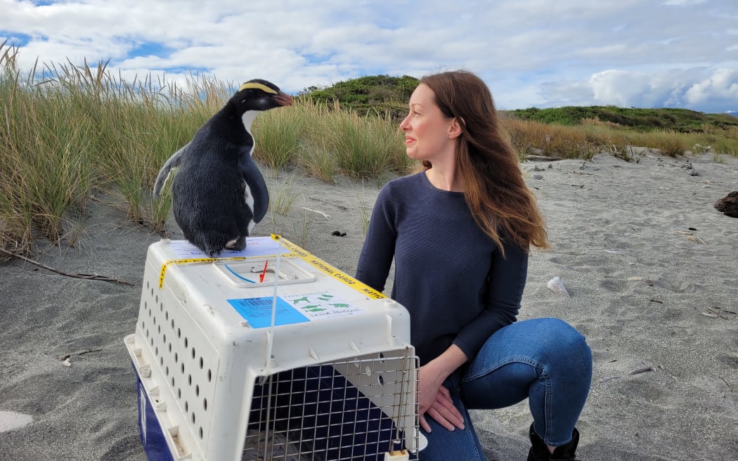 DOC Fauna Technical Advisor Cassie Mealey with the tawaki at release.