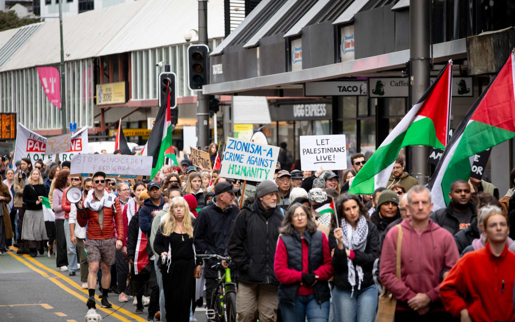 Wellington Gaza protest