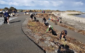 The public working bee to spruce up the beach.