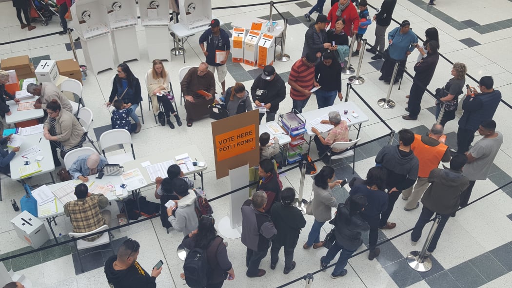 People lining up to vote in advance at St Lukes mall in Auckland.