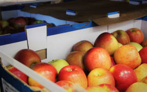 A crate of donated apples in the New Zealand Foot Network warehouse.