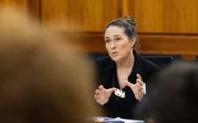 Children's Commissioner Judge Frances Eivers gives evidence on approaches to Youth Justice to Parliament's Justice Select Committee.