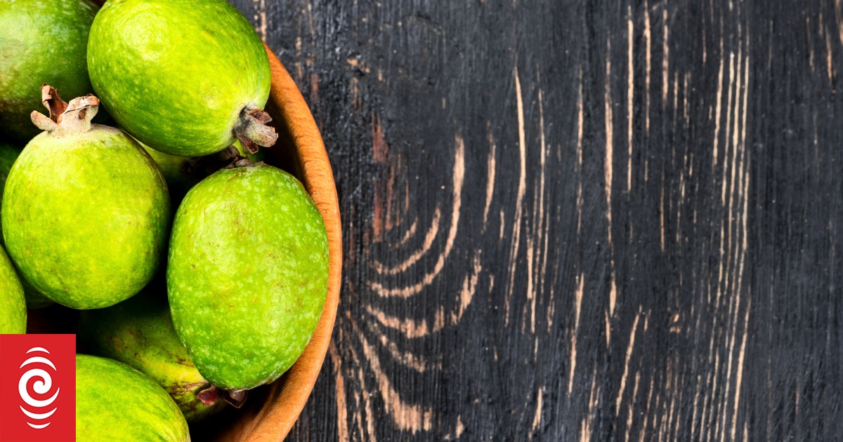 Feijoa yield 40 percent down on last year farmer RNZ News