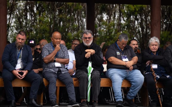 The National Iwi Chairs Forum, representing more than 70 iwi, are meeting at Waitangi this week to set priorities for the year ahead.