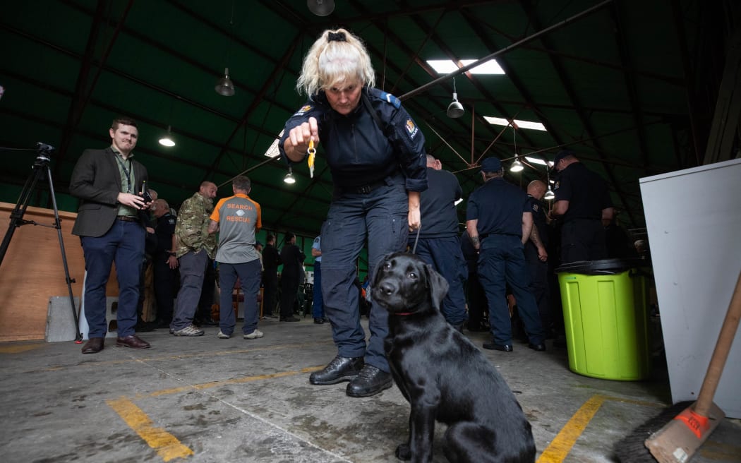 Dogs at a NZDF training seminar