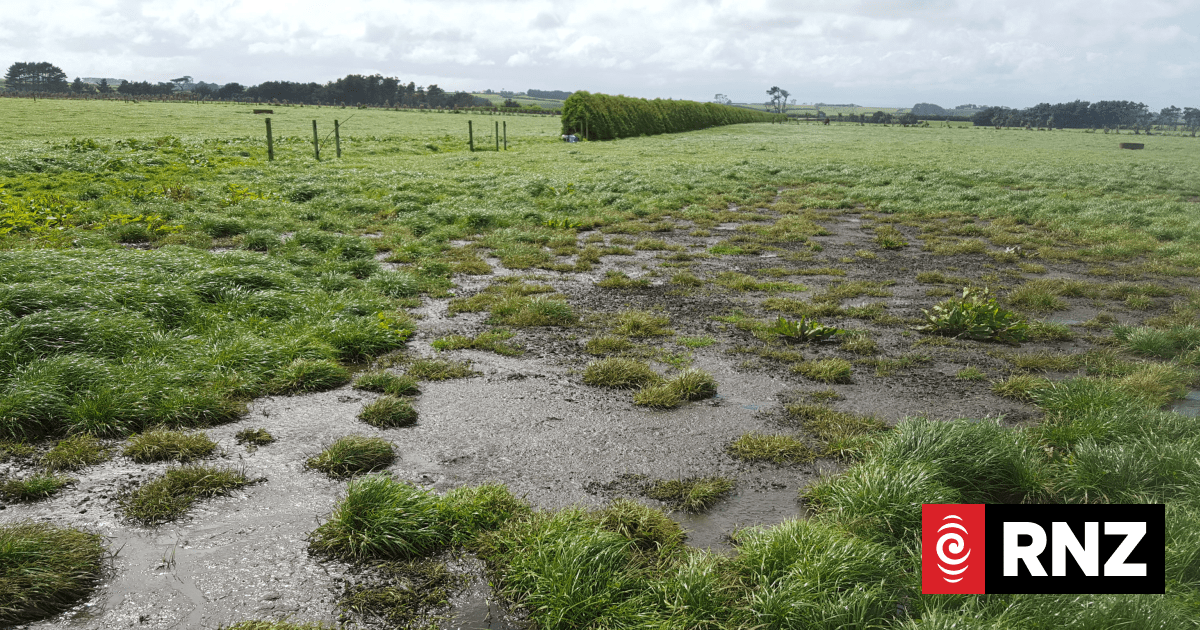 Central Otago council dumps plans to truck human waste to local farm ...