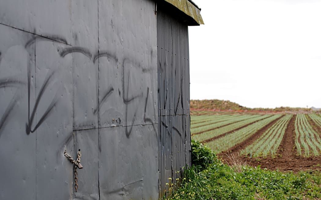 Patumahoe is part of the Pukekohe Hub, 4359 hectares of some of New Zealand’s most fertile and productive land.