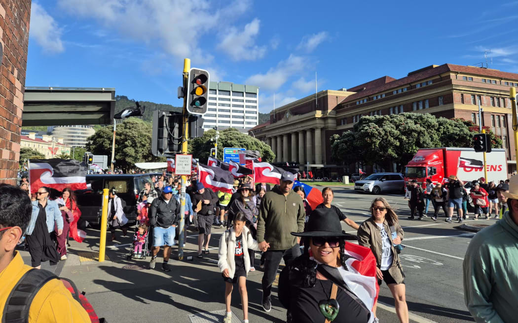 Hundreds flooding the street from the train station to Waitangi Park.