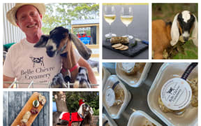 Goats - Belle Chevre Creamery