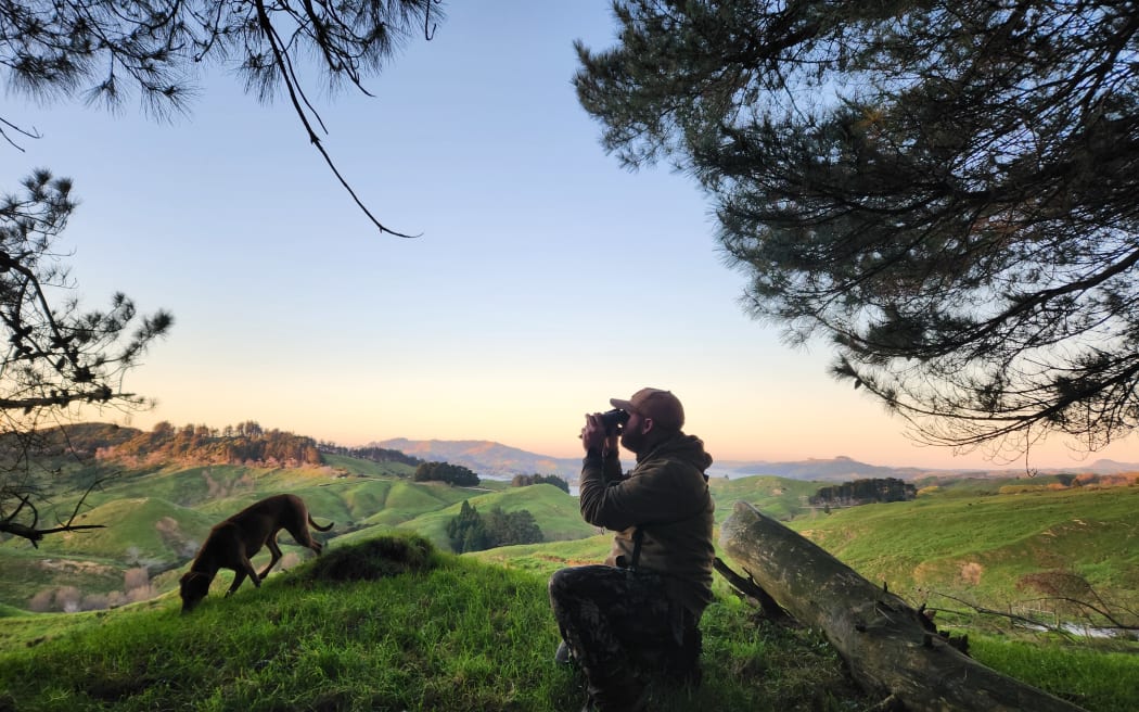 Matt Greenland searches for deer from a hilltop on Puketoro