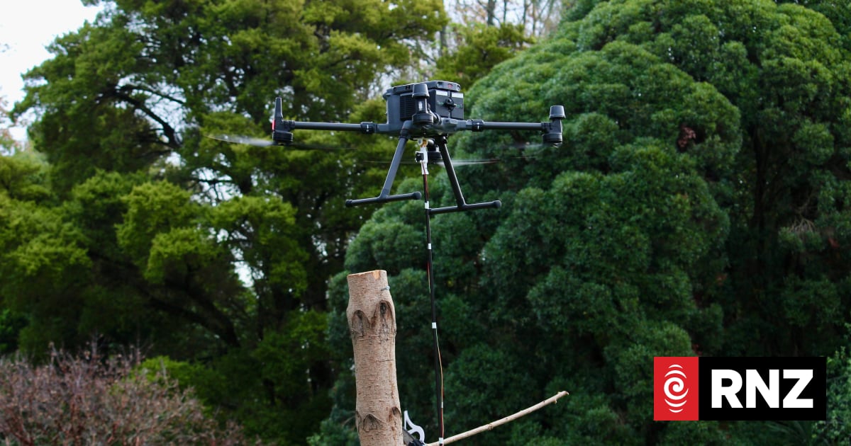 Chainsaw drone could help improve staff health and safety | RNZ