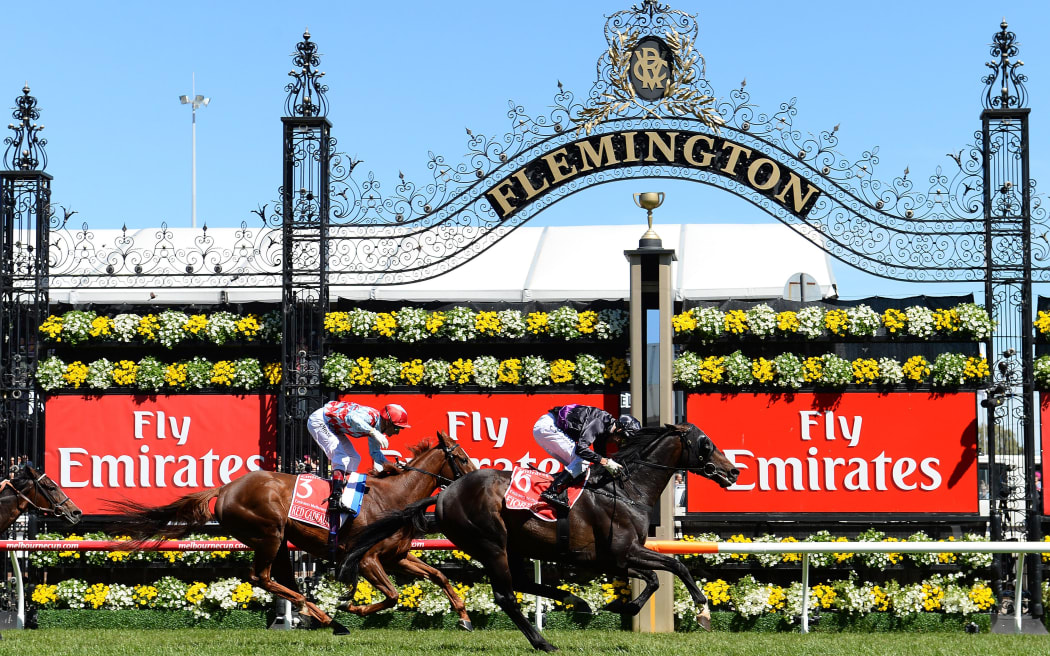 Fiorente wins 2013 Melbourne Cup