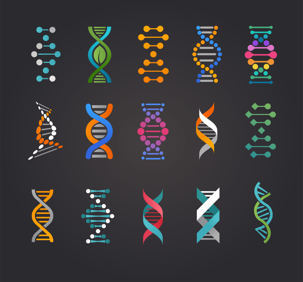 DNA genetics illustration