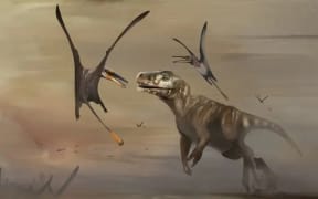 An artist’s impression of a new pterosaur from Scotland (Dearc sgiathanach) flying away from a predatory dinosaur