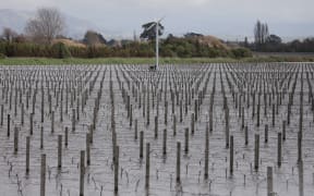 A flooded Blenheim vineyard on 20 August, 2022.