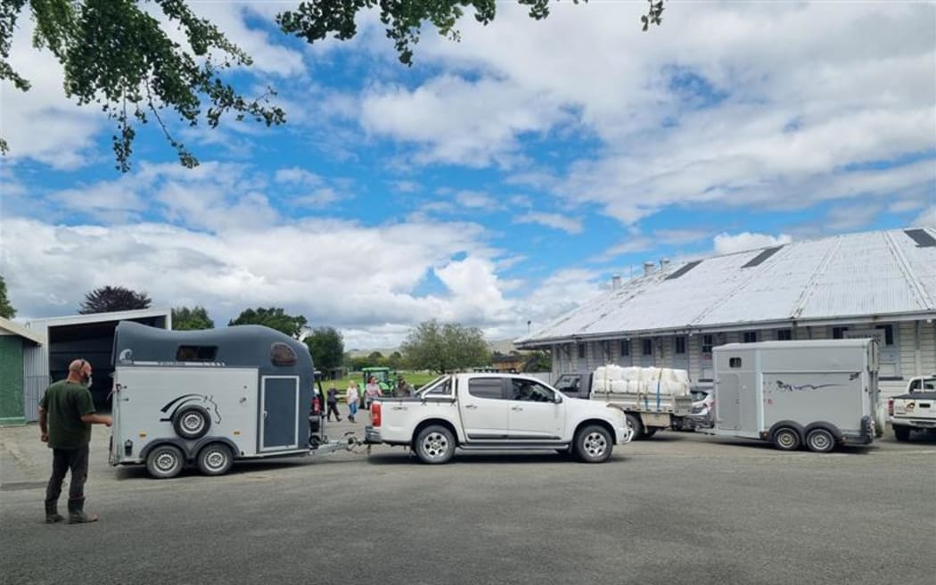 Donations of pet food at the Hastings Racecourse where a temporary animal shelter has been set up, run by MPI, HUHA and the SPCA.