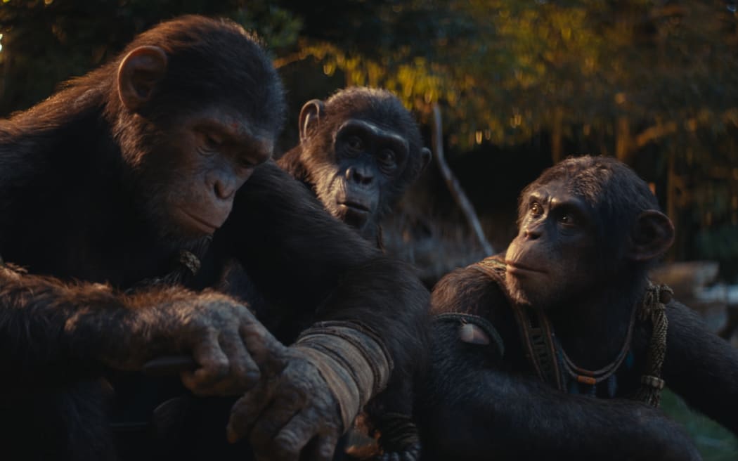 Wētā FX digitally created ape characters and environments on Kingdom of the Planet of the Apes.